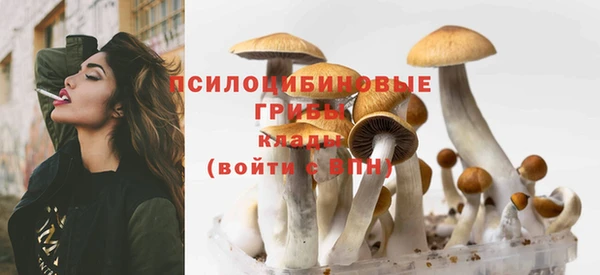 стаф Алексеевка