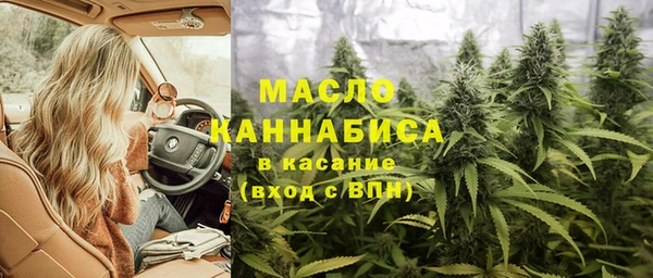 шишки Лабытнанги