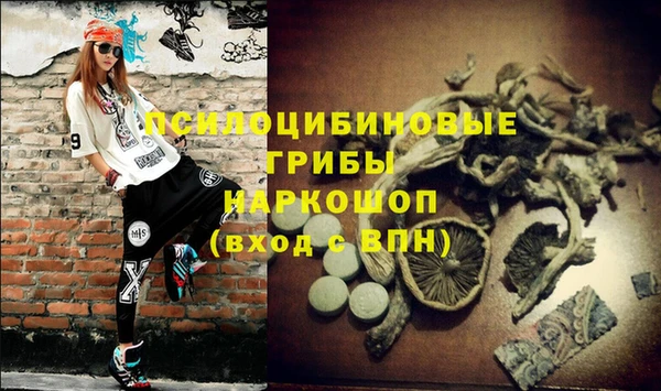 стаф Алексеевка