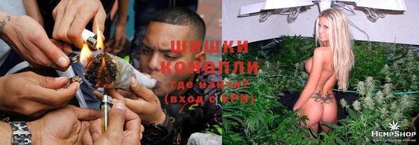 гидра Алексин