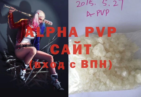 шишки Лабытнанги